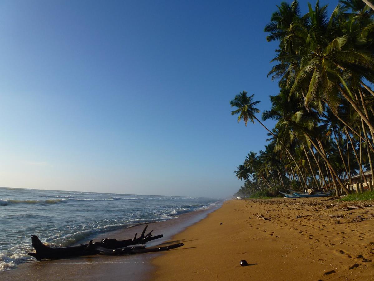 Emildale Villa Wadduwa Buitenkant foto